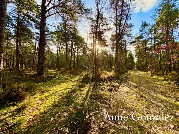 VIENNE EN VAL, à trente minutes d'ORLEANS aux portes de l'Orée de Sologne Propriété à vendre avec 24 hectares boisés et son étang de 5000 m2