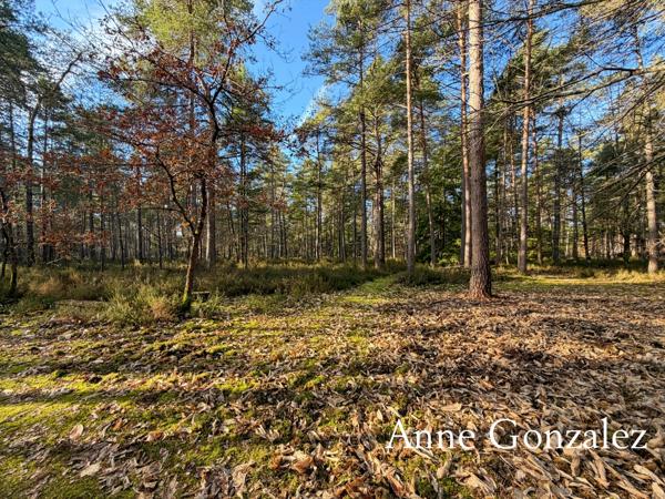 VIENNE EN VAL, à trente minutes d'ORLEANS aux portes de l'Orée de Sologne Propriété à vendre avec 24 hectares boisés et son étang de 5000 m2