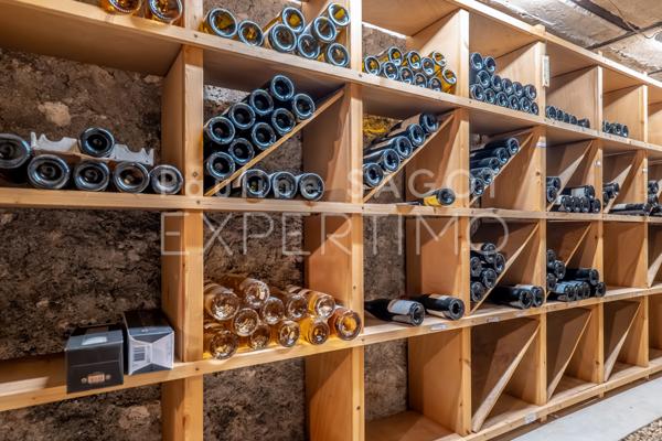 Courbevoie (92400) MAISON D'ARCHITECTE COURBEVOIE 262 M2 - Rooftop de 67 m2 et jardin-patio de 58 m2