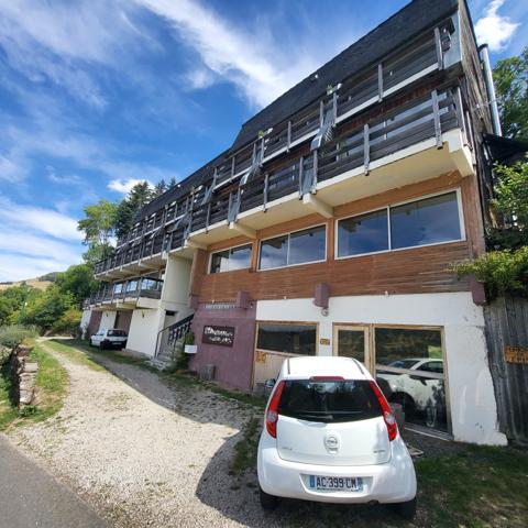 Appartement vue imprenable, vallée de CHEYLADE Cheylade (15400)