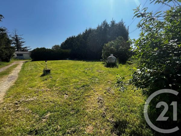 terrain à vendre 1000 m2 BEAUCE LA ROMAINE - 41