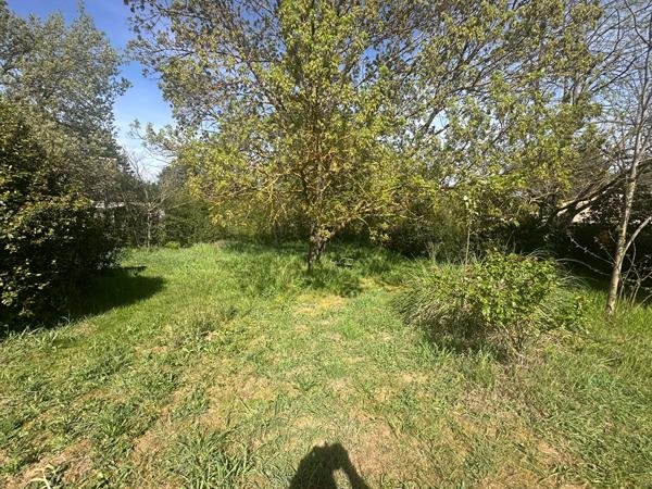 A VENDRE 83470 SAINT MAXIMIN LA SAINTE BAUME MAISON PLAIN PIED T4 DE 87 M2 SUR 1600 M2  DE JARDIN GARAGE