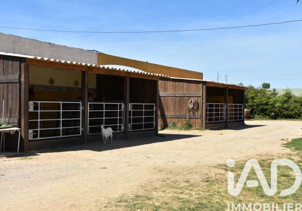 Maison à vendre 5 pièces 116 m² Aimargues