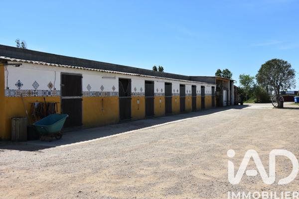 Maison à vendre 5 pièces 116 m² Aimargues