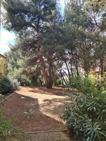 Appartement Balaruc Les Bains 1 pièce(s) 20 m2 avec terrasse et piscine