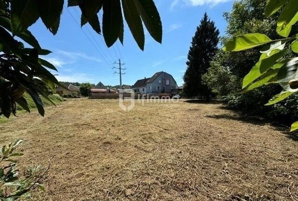 Terrain constructible 1232m² - Val de Moder (67350)
