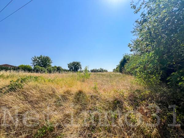 terrain constructible