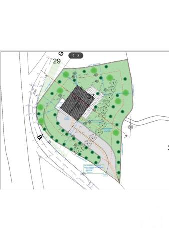 Terrain à vendre  1290 m2 CERVIONE - 202