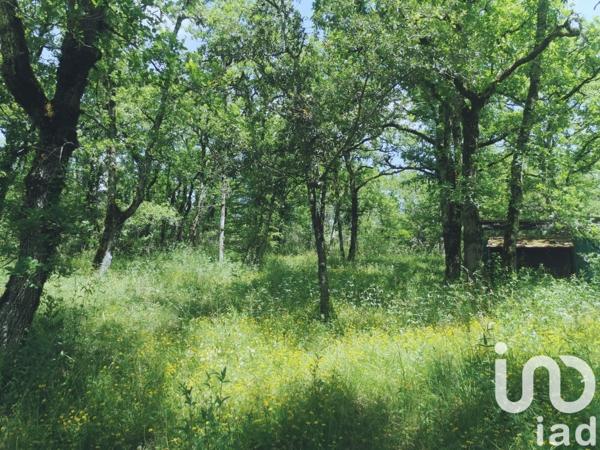 Maison à vendre 4 pièces 83 m² Bellefont-La Rauze