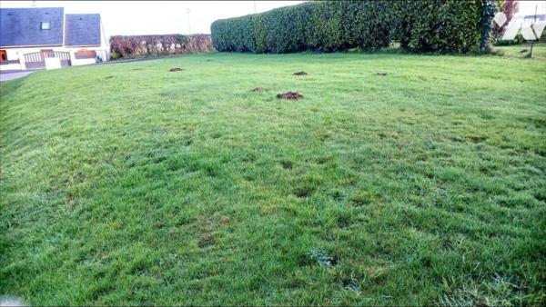 Saint Pierre Eglise - Terrain à bâtir, proximité immédiate des écoles, 750 mètres de la place du mar