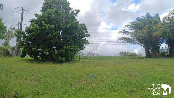 Terrain - Vendu - 652 m² - PETIT-BOURG | The Door Man