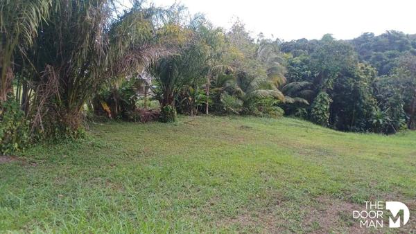 Terrain - Vendu - 652 m² - PETIT-BOURG | The Door Man