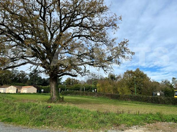 Terrain constructible en lotissement 