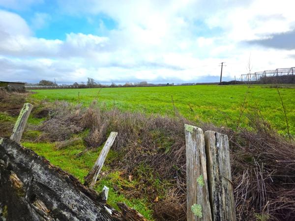 Maison traditionelle, ses dépendances et son terrain agricole !! A visiter sans tarder !