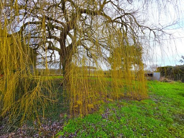 Maison traditionelle, ses dépendances et son terrain agricole !! A visiter sans tarder !