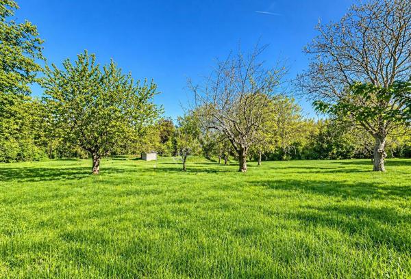Maison 250 m2 avec 550 m² de Hangars et 15195 m² de Terrain