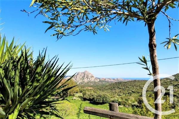 Maison à vendre  12 pièces - 438,96 m2 ST FLORENT - 202