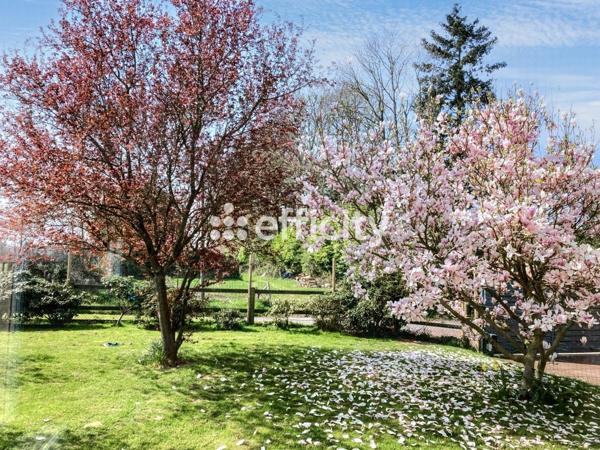 Maison 8 pièces - 179 m² Exclusivité efficity