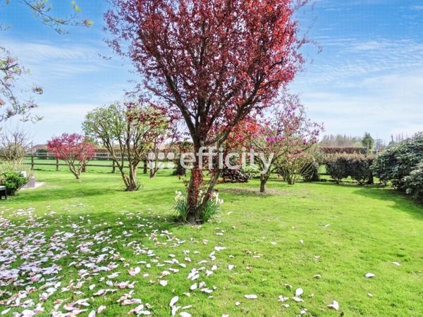 Maison 8 pièces - 179 m² Exclusivité efficity