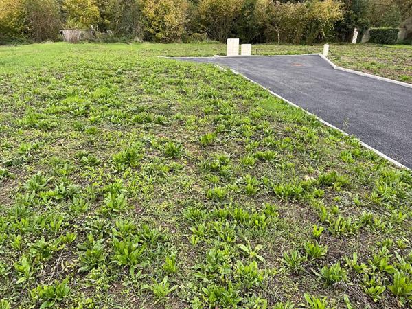 28230 EPERNON TERRAIN 401 m2 VIABILISE