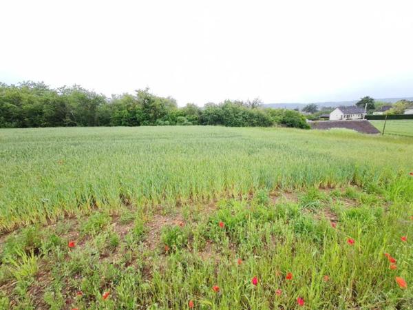 TERRAIN A BATIR - A VENDRE - MONTOIRE/ LOIR