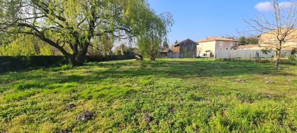 Joli Terrain constructible