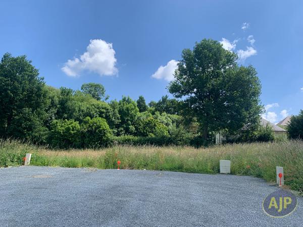 Vente terrain Sainte Gemmes D Andigne : 69 111 € - AJP Immobilier Segré