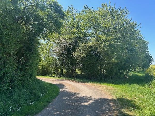 Longere à BROU (28160)
