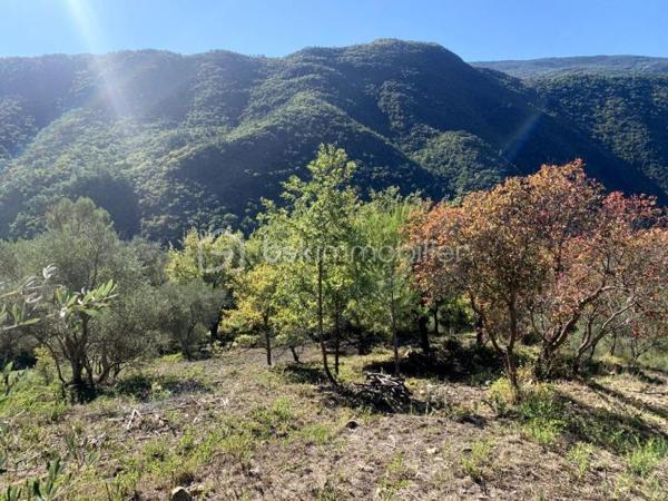 Un projet rare, sécurisé, et évolutif.

Situé au cœur d’un hameau résidentiel de la commune de Pierrefeu, ce terrain de 1 530 m² est vendu avec un permis de construire accordé et purgé de tout recours, autorisant la construction d’une maison individuelle de plain-pied d’environ 155 m² de surface de plancher, avec piscine.

Mais ce projet va bien au-delà d’une maison classique.

La conception architecturale, validée au permis, permet une organisation intelligente des volumes, offrant plusieurs possibilités d’usage et d’évolution, sans remise en cause de l’existant.

Le projet prévoit notamment :
– une maison principale de plain-pied, parfaitement adaptée à une vie familiale
– un accès à une large terrasse supérieure type rooftop, ouverte sur l’Ouest, avec vue dégagée sur les montagnes
– une distribution des espaces permettant d’envisager plusieurs zones indépendantes

Grâce à la configuration du bâti, à la circulation extérieure et à la séparation naturelle des volumes, le projet se prête parfaitement à la création de jusqu’à trois espaces autonomes de type studios indépendants (usage privé, accueil, profession libérale, hébergement, etc.), tout en conservant une habitation principale confortable.

Chaque espace peut être pensé avec :
– son propre accès
– son indépendance fonctionnelle
– une parfaite intégration au cadre naturel

Le permis actuel autorise déjà un usage d’habitation avec accueil ponctuel, ce qui ouvre la voie à des projets hybrides :
résidence principale + activité, maison familiale avec espaces invités, ou projet patrimonial évolutif.

Le terrain bénéficie d’une triple exposition Est / Sud / Ouest, d’un environnement calme et verdoyant, et d’une vue totalement dégagée. Les oliviers existants sont conservés et replantés sur la parcelle.

Accès existant par servitude reconnue, réseaux à proximité immédiate.
Assainissement non collectif validé avec étude prévue.
Projet conforme au RNU et aux règles d’urbanisme.

Un bien rare, sécurisé, pensé pour ceux qui veulent construire aujourd’hui tout en gardant une vraie liberté d’évolution demain.

Dossier complet sur demande : permis purgé, plans, études.

Prix : 137 500 €
Honoraires à la charge du vendeur.