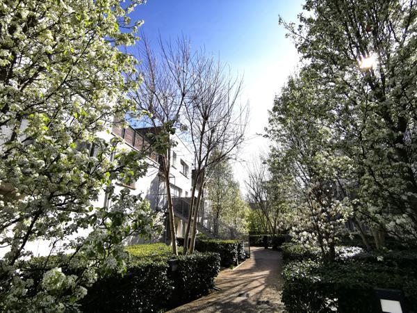 Appartement 4 pièces - 81 m²