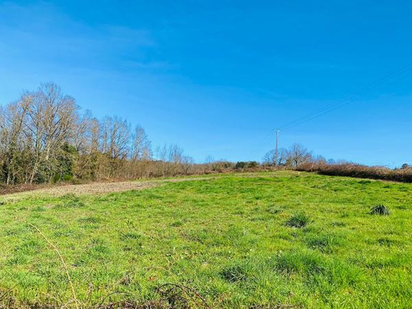 Vue dominante pour ce beau terrain sur la commune de Planioles