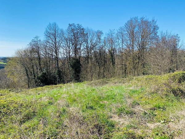 Vue dominante pour ce beau terrain sur la commune de Planioles
