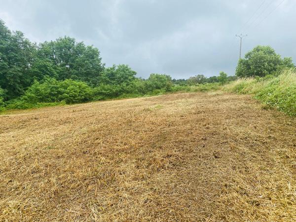 Vue dominante pour ce beau terrain sur la commune de Planioles