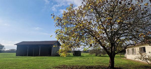 Maison landaise, à vendre 4 pièces (40)