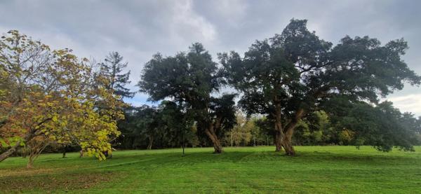 Maison landaise, à vendre 4 pièces (40)