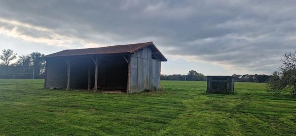 Maison landaise, à vendre 4 pièces (40)