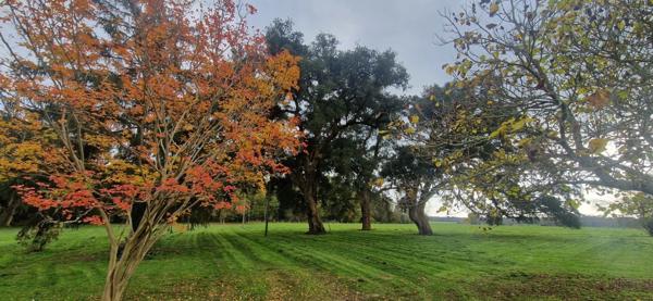 Maison landaise, à vendre 4 pièces (40)