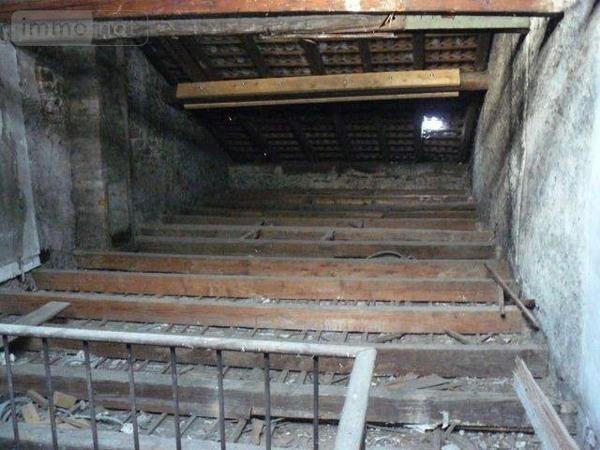 Local mixte (Pro/Hab) à vendre à Raon-l'Étape dans les Vosges (88110), ref : 2262