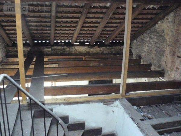 Local mixte (Pro/Hab) à vendre à Raon-l'Étape dans les Vosges (88110), ref : 2262