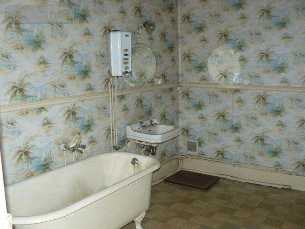 Local mixte (Pro/Hab) à vendre à Raon-l'Étape dans les Vosges (88110), ref : 2262