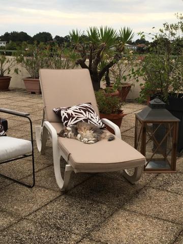 À vendre - T3, 3 pièces situé à Mont-de-Marsan (40000)