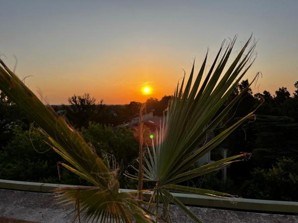 À vendre - T3, 3 pièces situé à Mont-de-Marsan (40000)