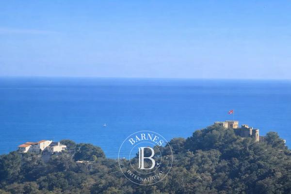 Villefranche-sur-Mer, Terrain  101 233 m² à vendre