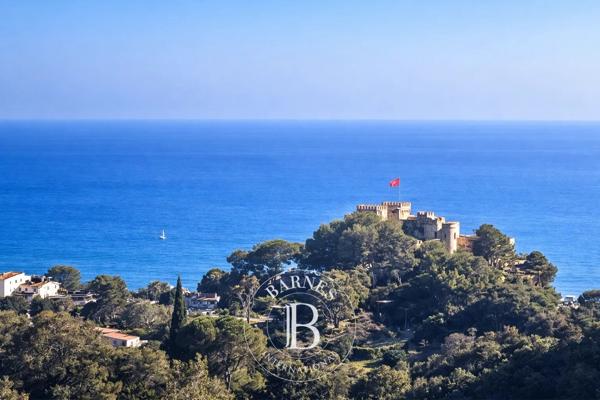 Villefranche-sur-Mer, Terrain  101 233 m² à vendre