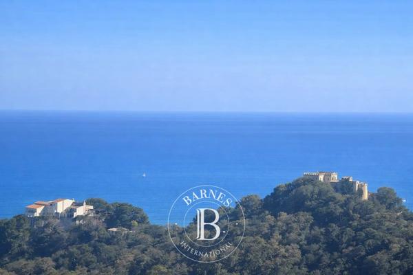 Villefranche-sur-Mer, Terrain  101 233 m² à vendre