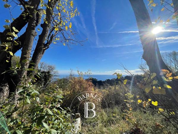 Villefranche-sur-Mer, Terrain  101 233 m² à vendre