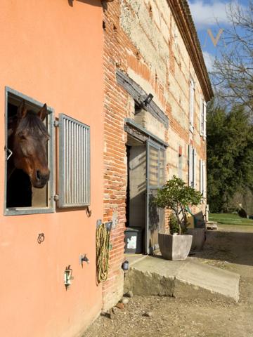 Propriété équestre de standing – Installations haut de gamme – 5 ha – Un bien rare offrant des infrastructures professionnelles, une maison confortable et un environnement priviligé à MOISSAC (82)
