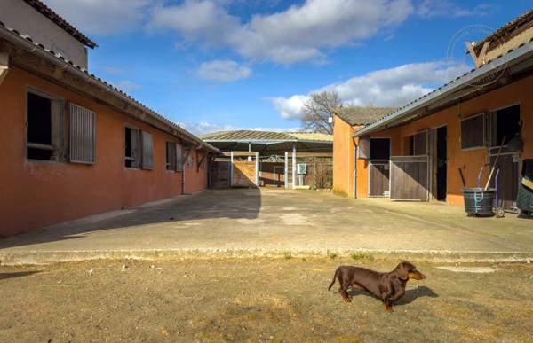 Propriété équestre de standing – Installations haut de gamme – 5 ha – Un bien rare offrant des infrastructures professionnelles, une maison confortable et un environnement priviligé à MOISSAC (82)
