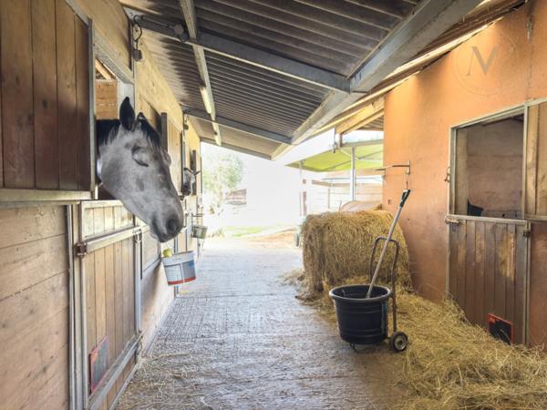Propriété équestre de standing – Installations haut de gamme – 5 ha – Un bien rare offrant des infrastructures professionnelles, une maison confortable et un environnement priviligé à MOISSAC (82)