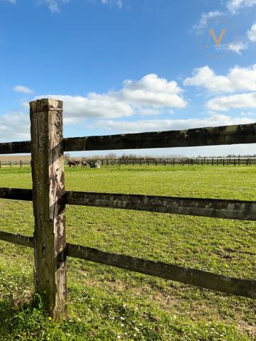 Propriété équestre de standing – Installations haut de gamme – 5 ha – Un bien rare offrant des infrastructures professionnelles, une maison confortable et un environnement priviligé à MOISSAC (82)